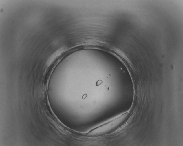 X0000062861067200601201723