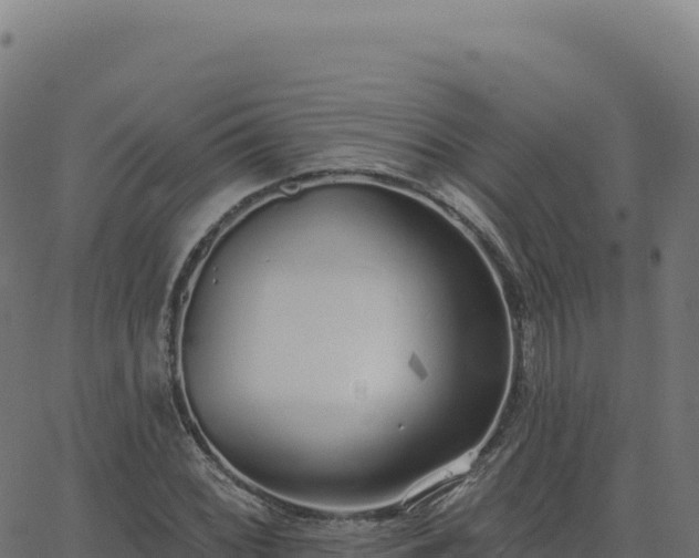 X0000062861068200601201723