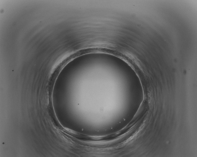 X0000062861069200601201723