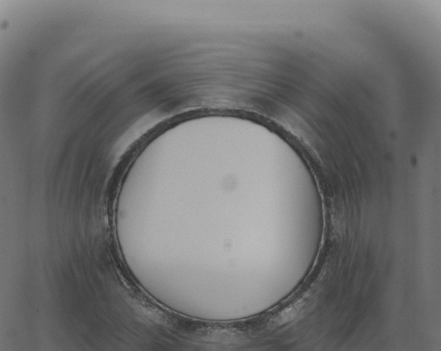 X0000062861070200601201723