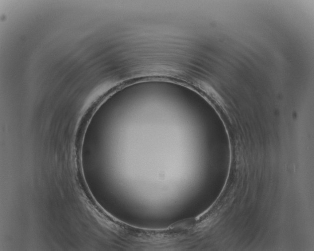 X0000062861072200601201723