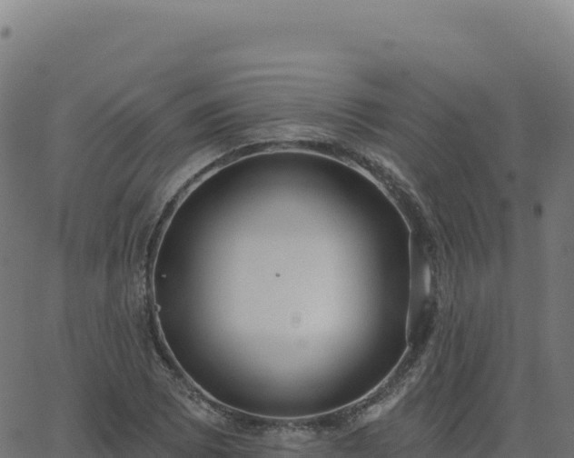 X0000062861073200601201723