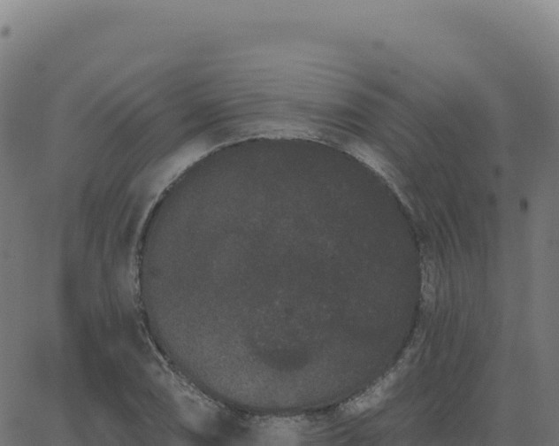 X0000062861074200601201723