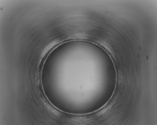 X0000062861075200601201723