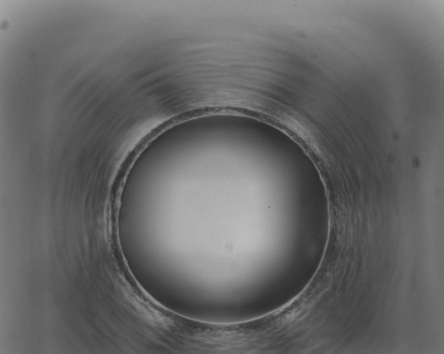 X0000062861076200601201723