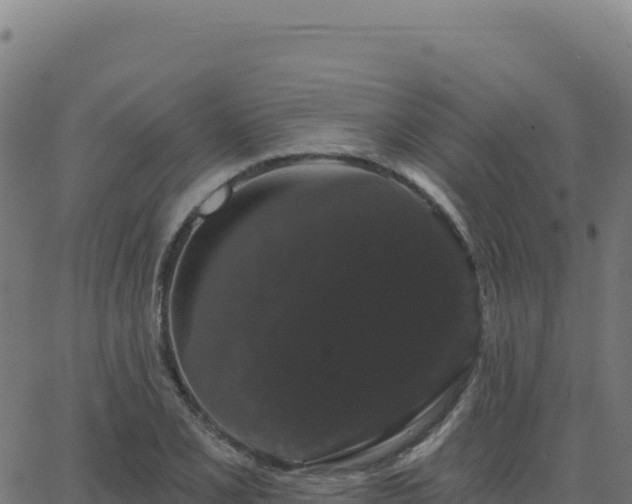 X0000062861077200601201723