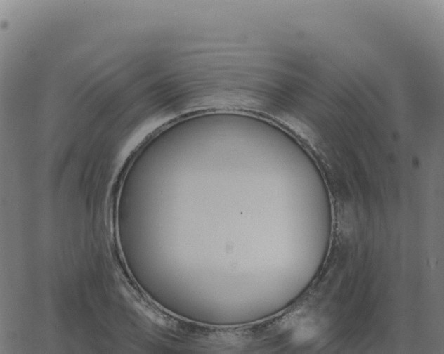 X0000062861078200601201723