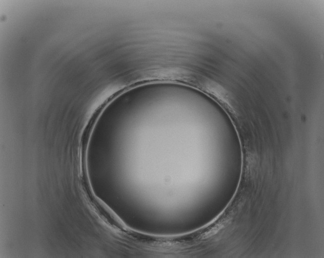 X0000062861079200601201723