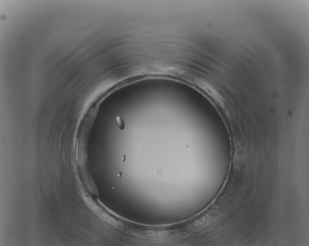 X0000062861080200601201723