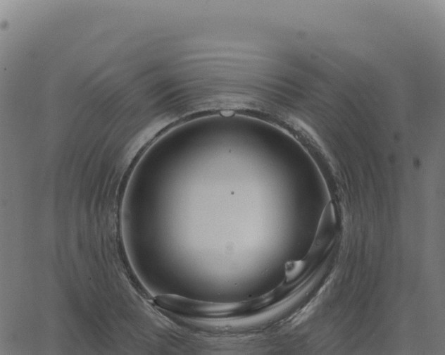 X0000062861081200601201723