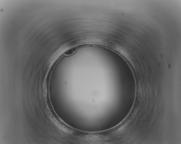 X0000062861082200601201723