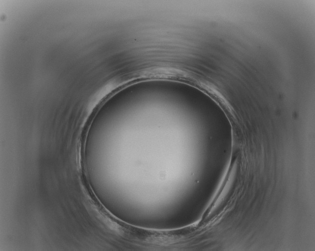 X0000062861083200601201723