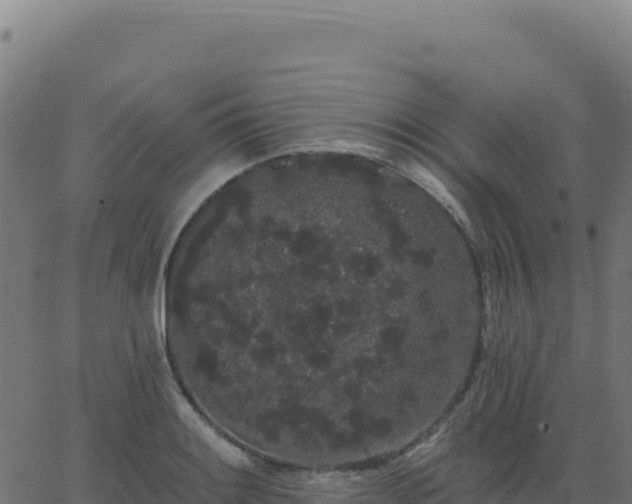 X0000062861084200601201723