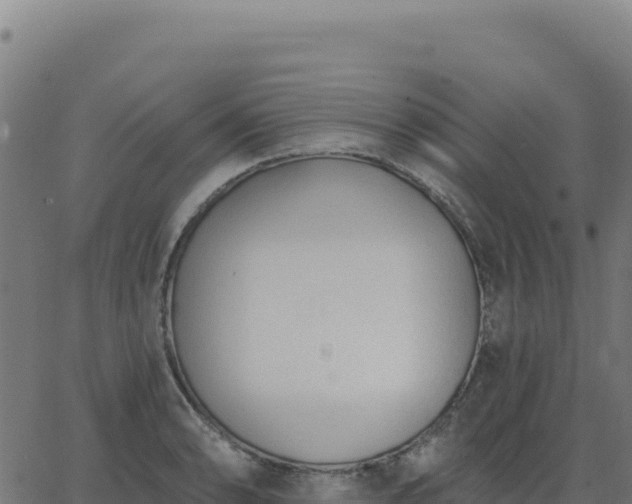 X0000062861086200601201723