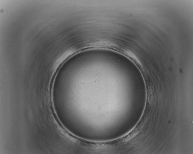 X0000062861087200601201723