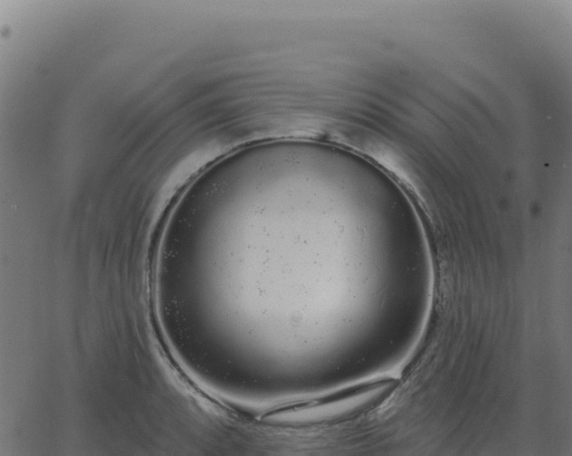 X0000062861088200601201723