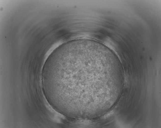 X0000062861090200601201723