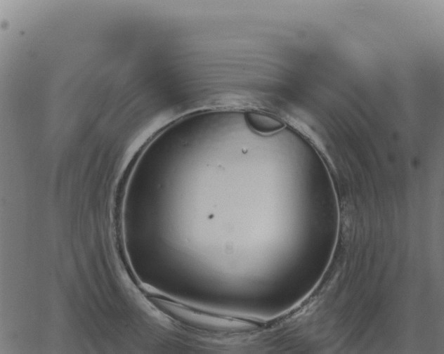 X0000062861091200601201722