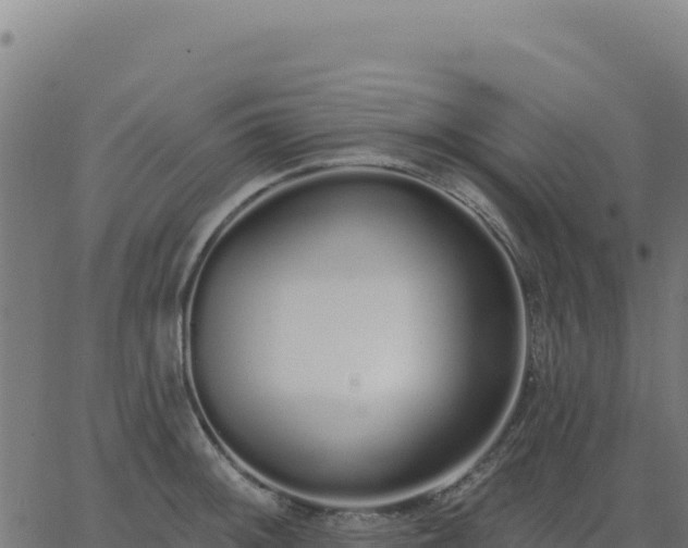 X0000062861092200601201722