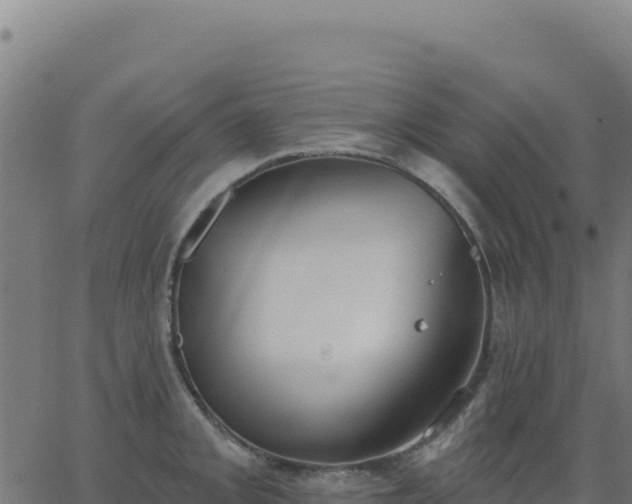 X0000062861093200601201722