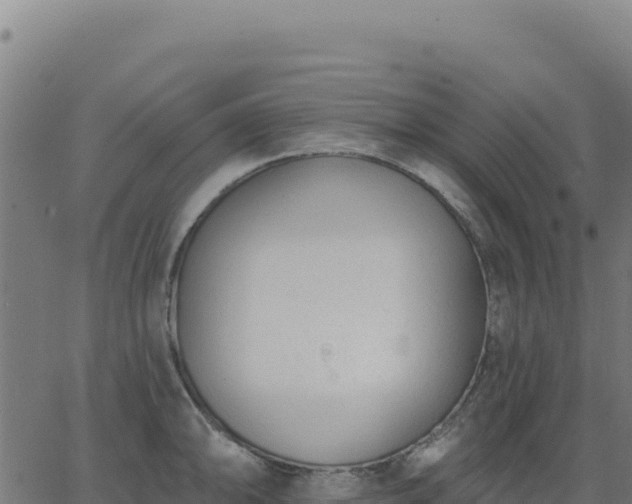 X0000062861094200601201722