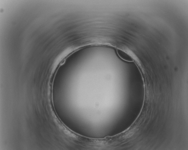 X0000062861096200601201722