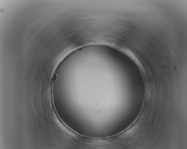 X0000062861100200601201722