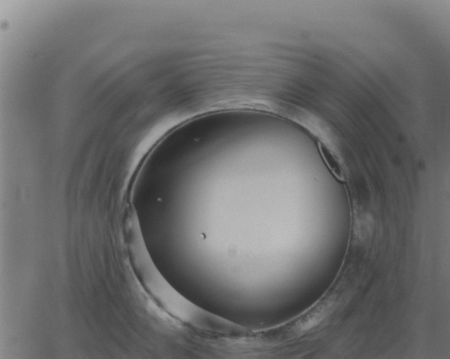 X0000062861102200601201722