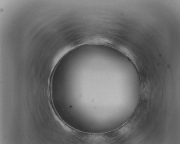 X0000062861103200601201722