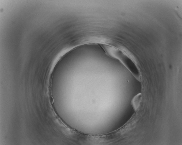 X0000062861104200601201722