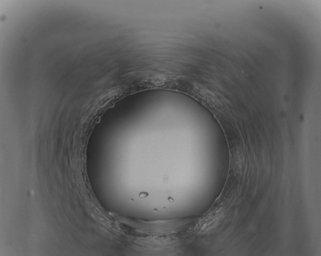 X0000062861105200601201721