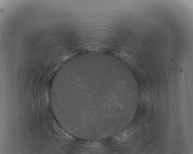 X0000062861106200601201721