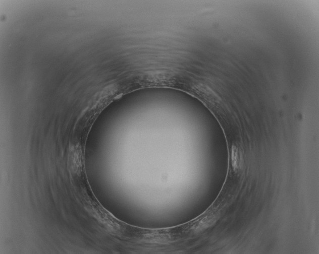 X0000062861107200601201721