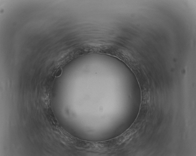 X0000062861109200601201722