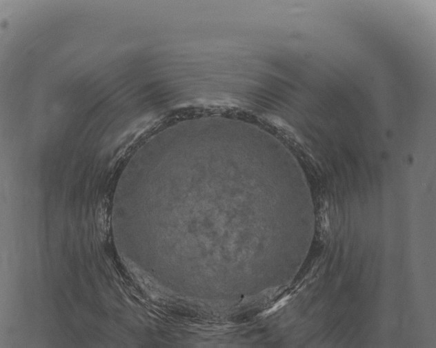 X0000062861110200601201722