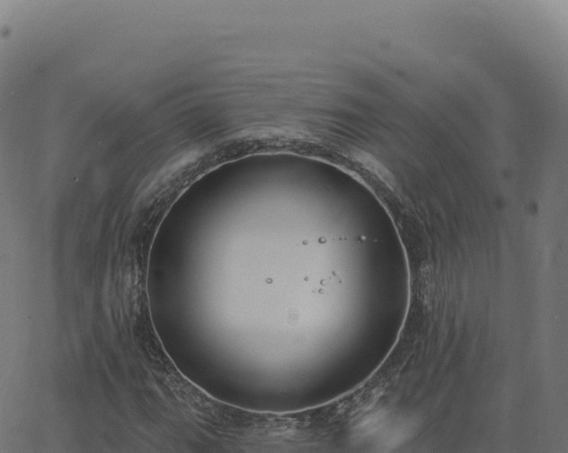 X0000062861111200601201722