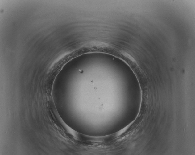 X0000062861112200601201722