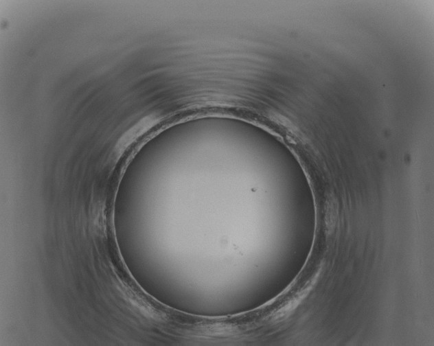 X0000062861113200601201722