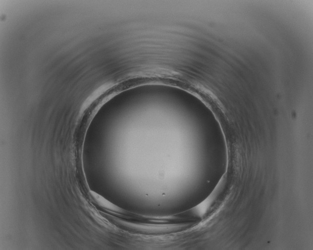 X0000062861114200601201722