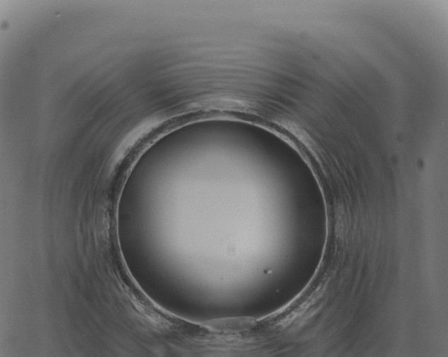 X0000062861115200601201722