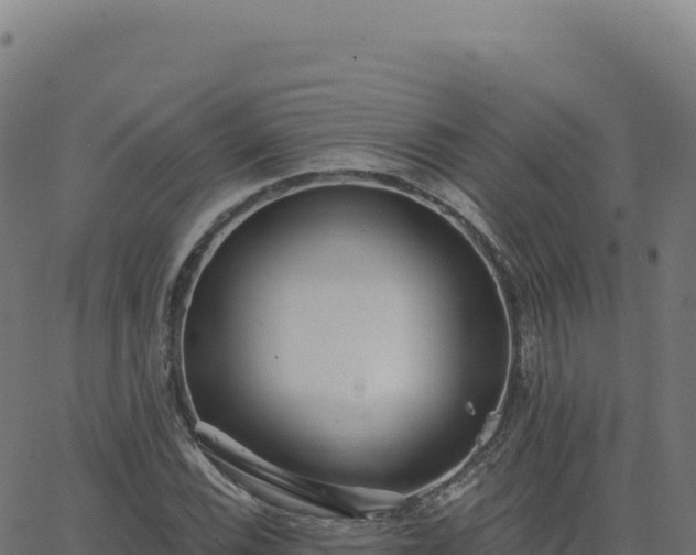 X0000062861116200601201722