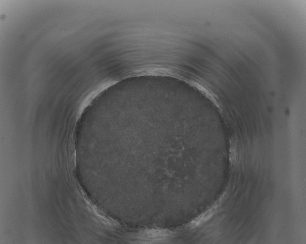 X0000062861117200601201722