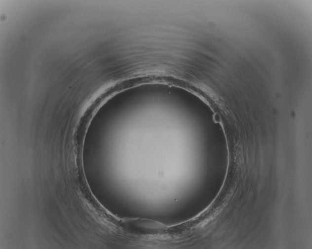 X0000062861118200601201722