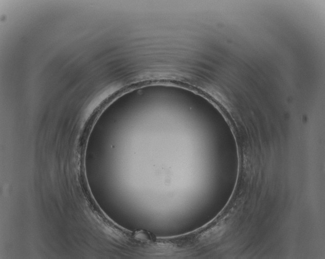 X0000062861119200601201722