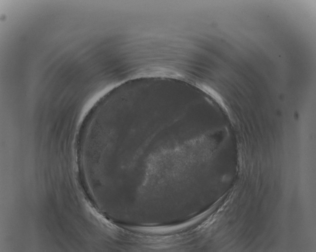 X0000062861120200601201722