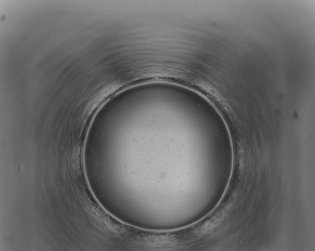 X0000062861121200601201722