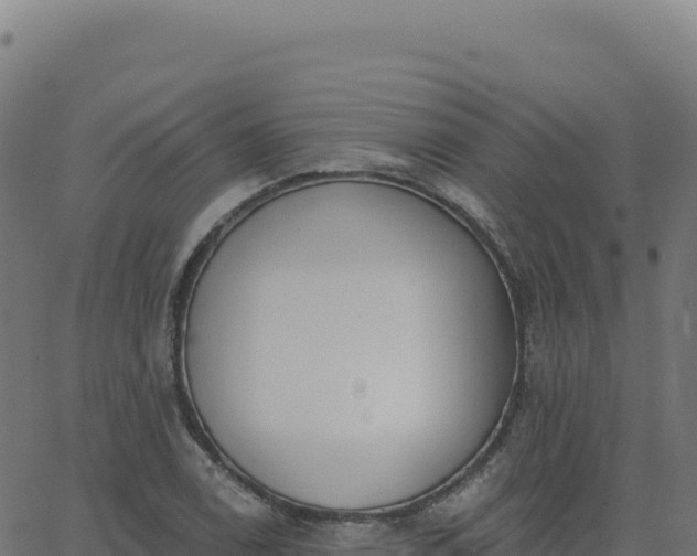 X0000062861122200601201722