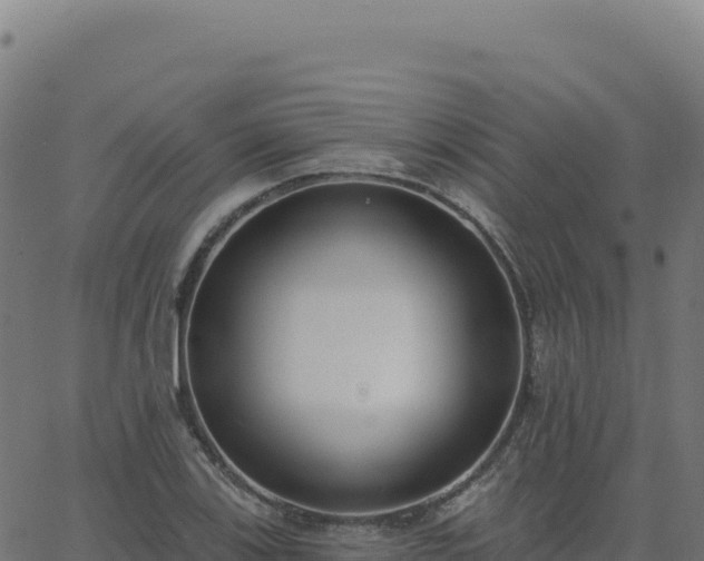 X0000062861123200601201722