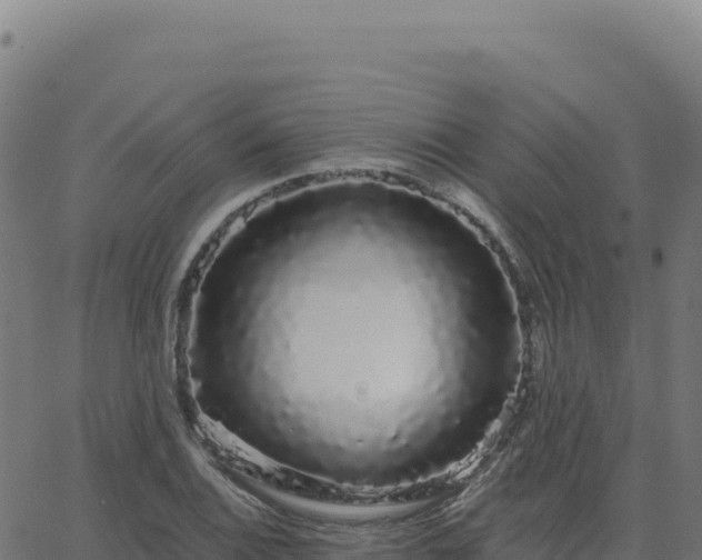 X0000062861124200601201722