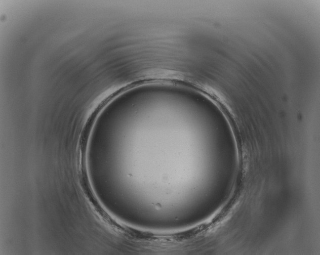 X0000062861125200601201722